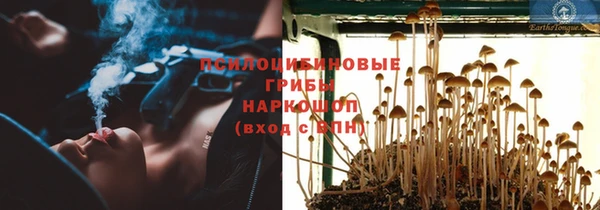 a pvp Беломорск